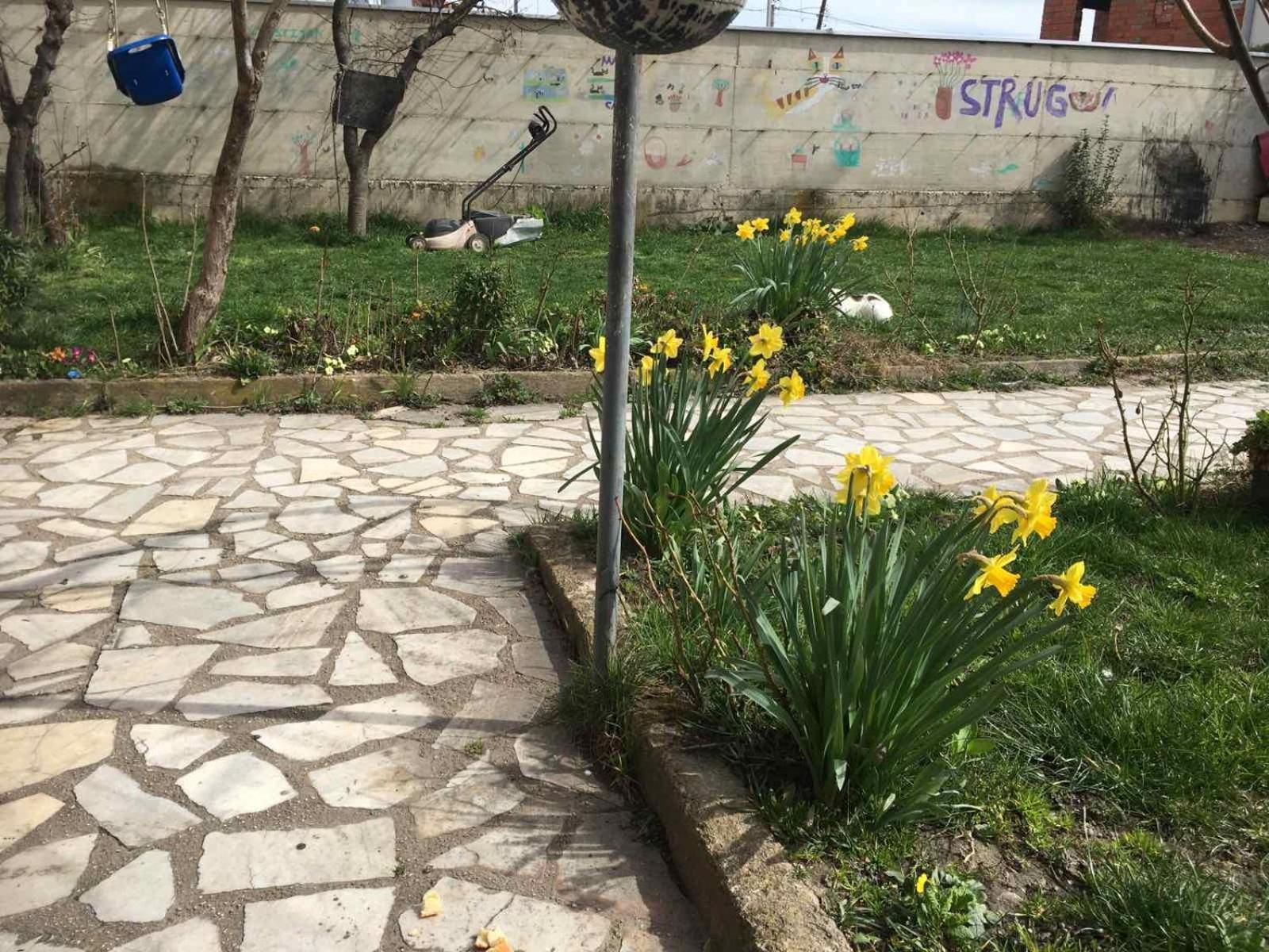 Apartment Apartman Struga *