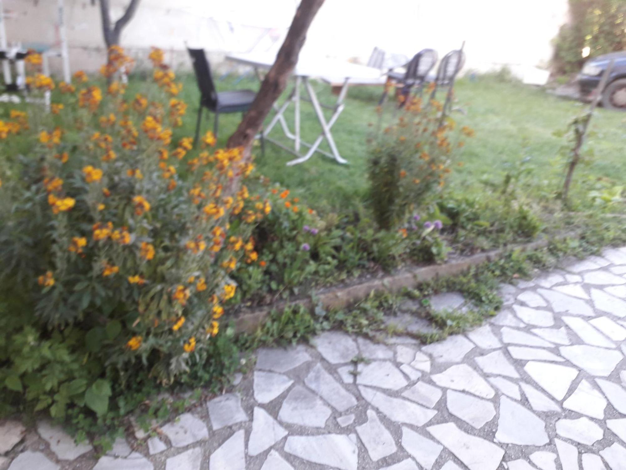 Apartment Apartman Struga Struga